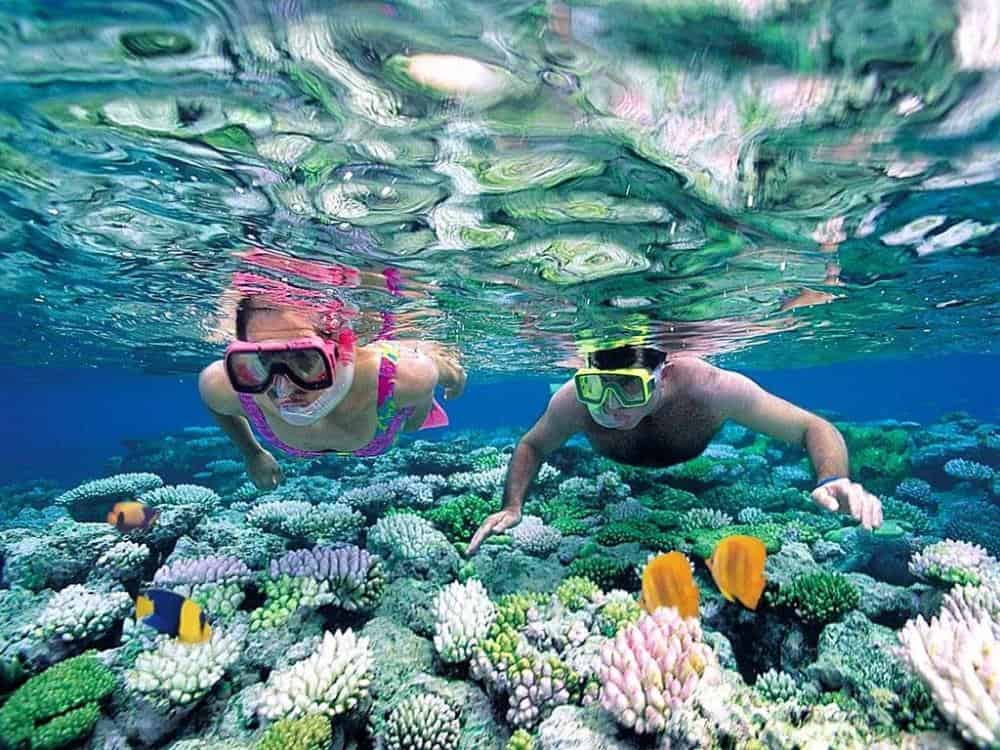 Top Ocean Activities in Nha Trang – Coral Reef Snorkeling Tour