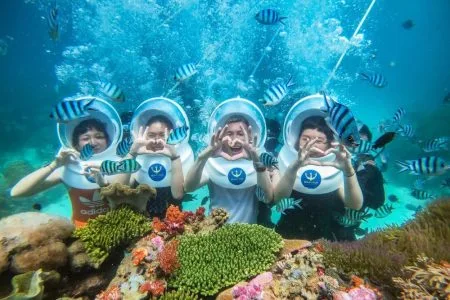 Top Ocean Activities in Nha Trang – Coral Reef Snorkeling Tour