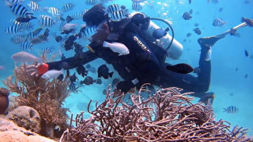 Nha Trang Coral Reef Snorkeling Tour