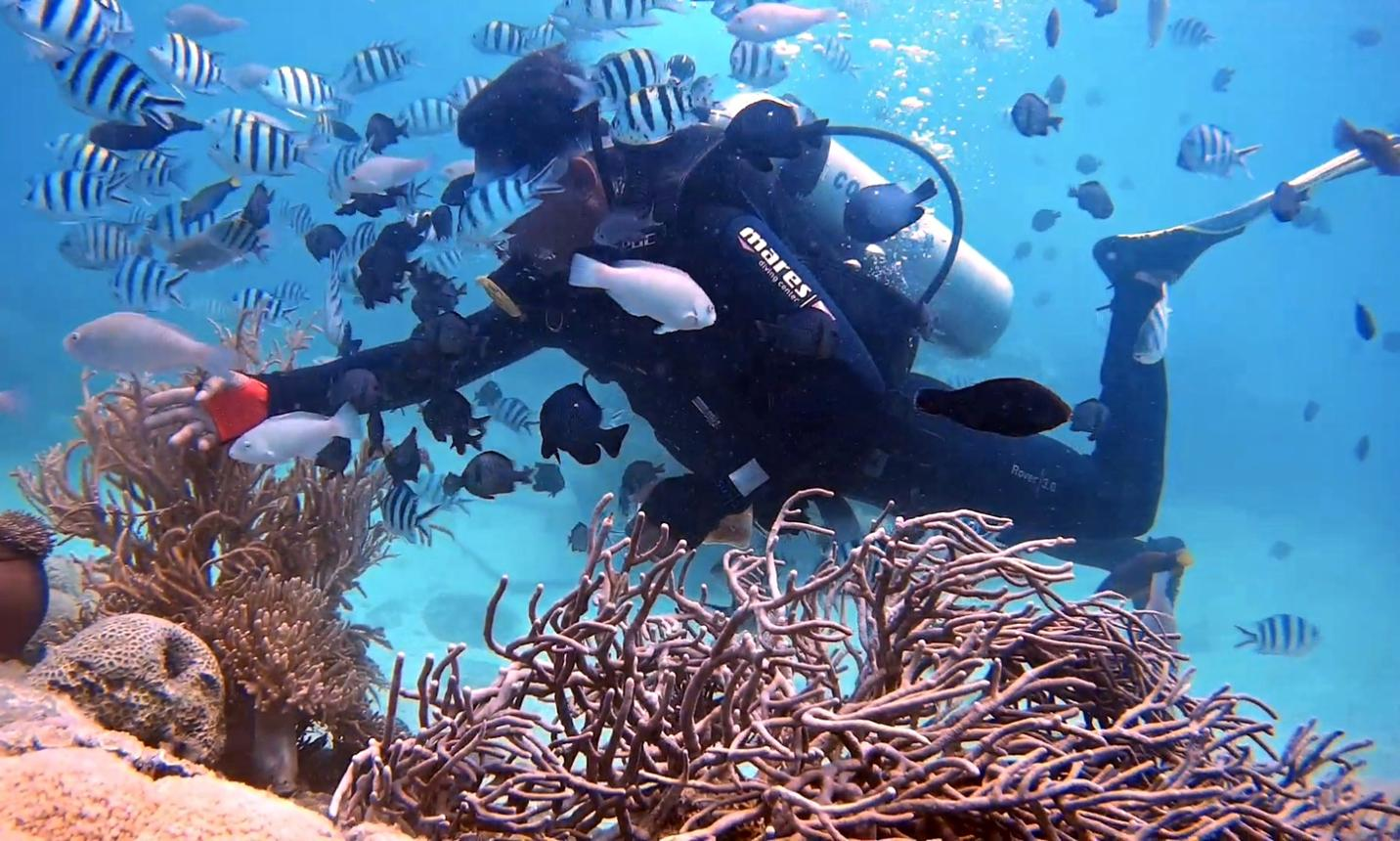 Nha Trang snorkeling tour at Hon Mun Island